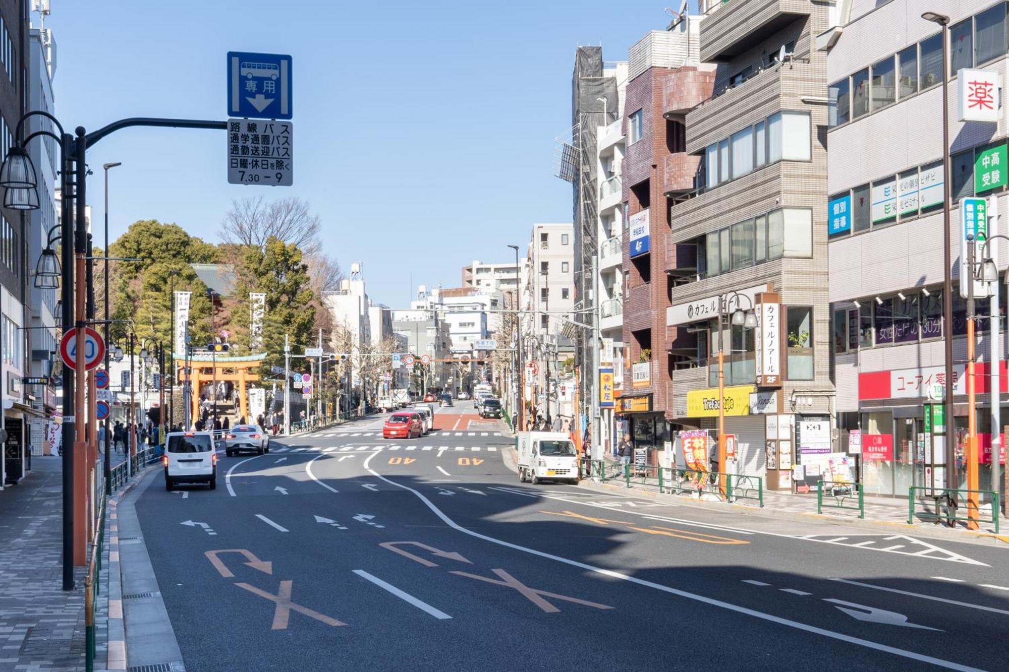 Ch Kikuicho Tokyo